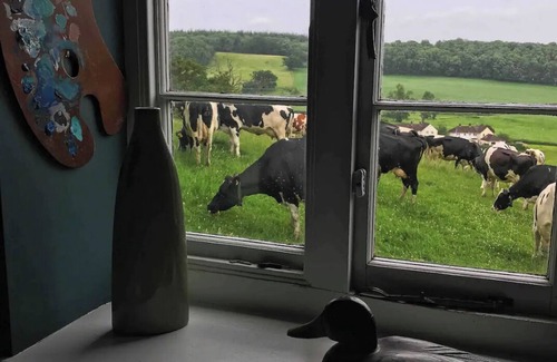 East Horrington Cottage | Easel Cottage near Wells: comfortable quirky cosy