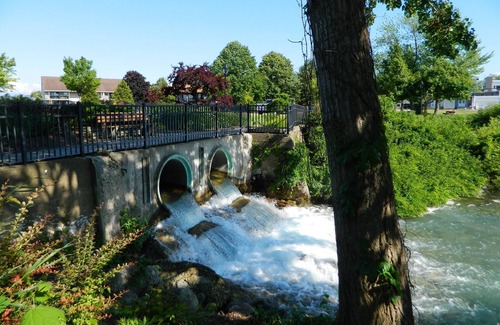 Elk Rapids Cottage | EAST BAY LOCATION! DATES Available! Walking Distance to Lake Michigan!