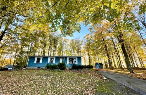 East Jordan House | East Jordan Retreat: woodsy setting, game room, AC, deck, hammocks, fire pit!