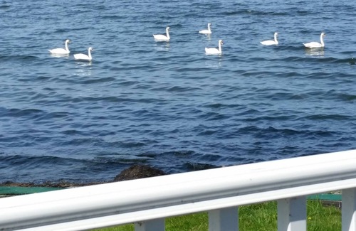 Kent Cottage | Easy Breezy Living - Lakefront Cottage Directly on Lake Ontario