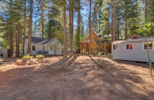 Tahoma Cabin | Easy Living: 1 BR, 1 BA in Tahoma, Sleeps 2
