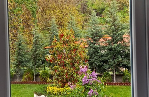 Nar Villa | Ebruli Cennet Bahçesi