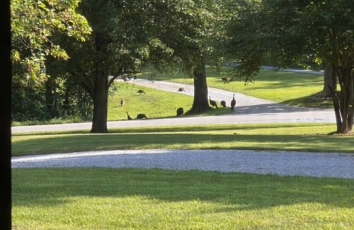 Newburgh House | Eclipse Viewers Check This Out!