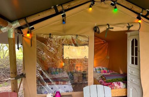 Oosterpoortwijk Other | Eco-Camping De Helleborus, Yurt, Bell & Safari tent, Pipo, Caravans, Dorms and Units