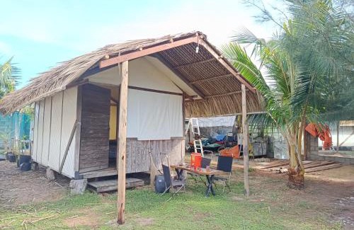 Can Gio Other | Eco Camping - Home-tent