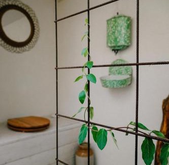 Jemelle House | Eco-friendly Welness Tiny House in Liglet