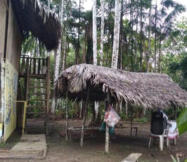 Leticia House | ECO HOSTAL El VIEJO BOSQUE TOUR AMAZON
