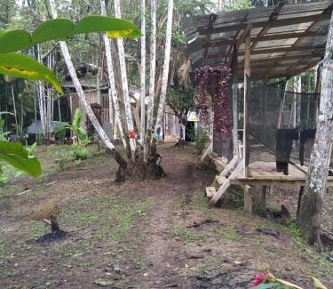 Leticia House | ECO HOSTAL El VIEJO BOSQUE TOUR AMAZON