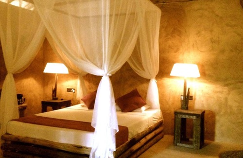 Hambantota Resort | Eco Resort with Elevating and Unique Experience