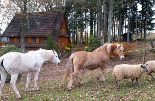 Colroy-la-Grande House | Eco-site Epona "La Mini Ferme"