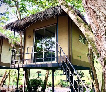 Utica Other | ECOCAMPING JACAMAR