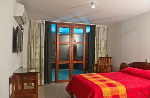 Mazamari Hotel | Ecolodge El Palmero