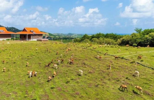 Le Vauclin Cabin | Ecolodge OKO en Pleine Nature