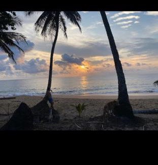 Sao Tome Island Hotel | Ecolodge praia