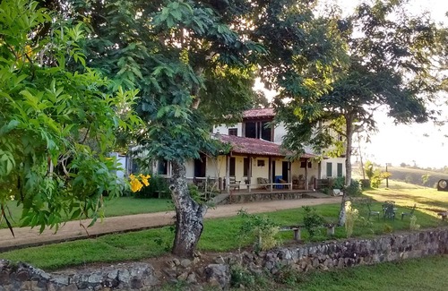 Sao Felipe Other | ECOLOGICAL FARM IN COPIOBA'S FOREST