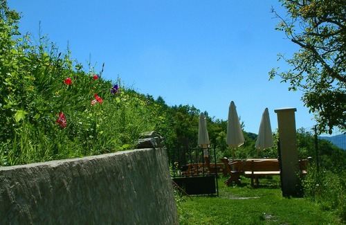Venterol House | Ecological guest house Tallard- Gap-Serre Ponçon: Gentiane