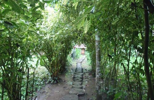 Tambopata Cabin | Ecolucerna Lodge Tambopata