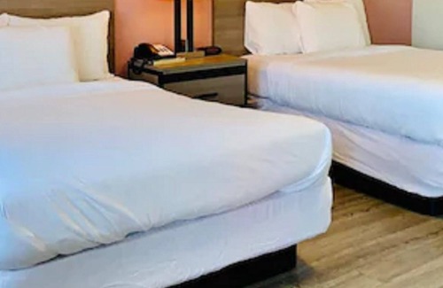 Abilene Hotel | Econo Lodge Inn & Suites Abilene East District