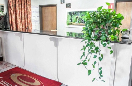 Mesilla Park Cabin | Econo Lodge Las Cruces University Area