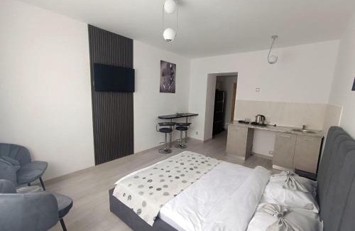 Sector 4 Apartment | EDUARD Elegance Studio 3