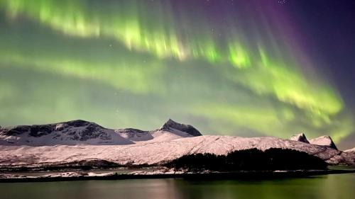 Ballangen House | Efjord and Stetind Resort - Cabin Kobbernestinden