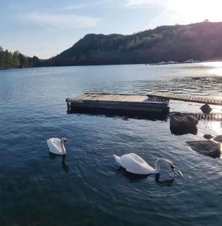 Egersund Apartment | Egersund Overnatting Tengsastranda