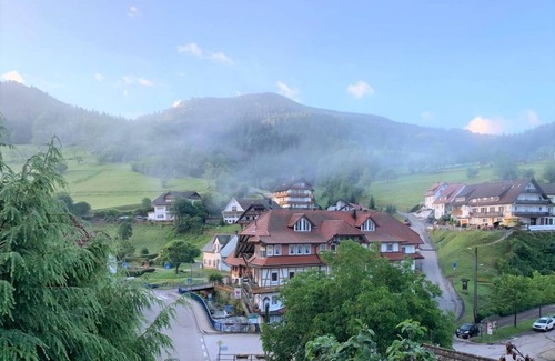 Bad Peterstal-Griesbach Apartment | Ehrenmättlehof: Ferienwohnung E10, 45qm, Wohn-/Schlafbereich, max. 3 Personen