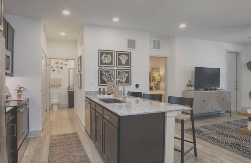 Austin Apartment | EightyOne10 2BD 4 - Two Bedroom Apartment, Sleeps 4