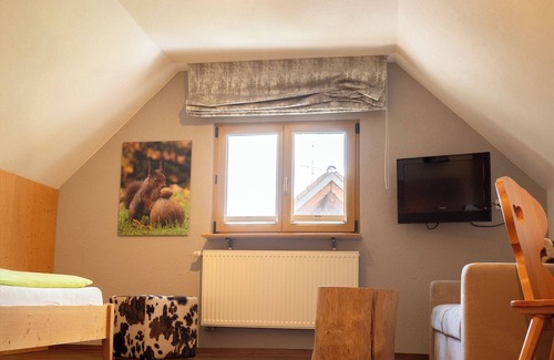 Lenzkirch Apartment | Einzelzimmer, 13qm, mit DU/WC und Balkon