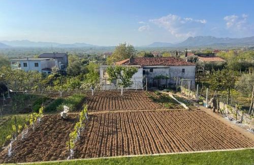 Sakës Resort | Ejlli Villa