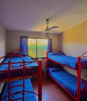 La Granja House | El Nacimiento