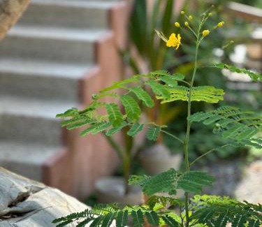 Troncones Apartment | El Nido, Riad San Cristobal