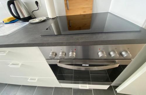 Magdeburg Apartment | ElbOase mit zwei Schlafzimmern