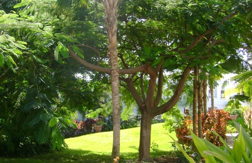 Barrero Villa | Elegant, quiet villa located in the west coast of Puerto Rico, Rincón.
