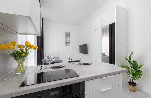West Pomeranian Voivodeship Apartment | Elegant Studio Chmielewskiego | Parking | Szczecin