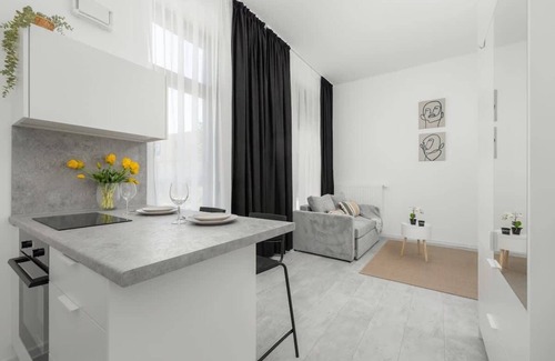 West Pomeranian Voivodeship Apartment | Elegant Studio Chmielewskiego | Parking | Szczecin