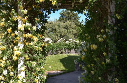Yountville House | Elegant Yountville Retreat.Your Wine Country Vacation Begins at Your Doorstep