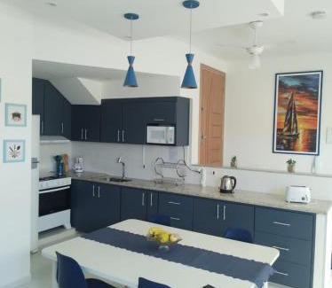 Sao Carlos House | Elegante Duplex Oceanico da Elena Super Cozinha USP y UfSCAR