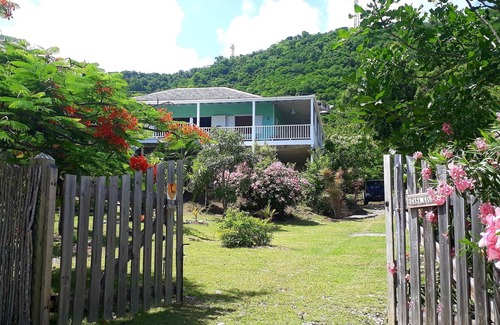 Falmouth Harbour House | Elegantly-Designed Artist's Home set in Tropical Gardens with Stunning Sea View