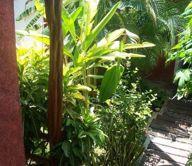 Centro - Supmza 001 Apartment | Elements of the Island