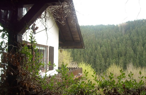 Wilhelmsthal House | Eleven True Elves. Haus in Forest.