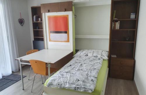 Emmetten Apartment | Elfe-Apartments Studio Apartment for 2 guests