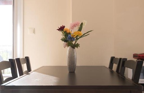 Katomerion Apartment | Elia Village