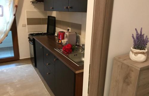 Piatra Neamt Apartment | Eli’s Apartament