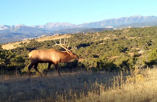 Gardner Cabin | Elk Haus Cabin, 5BR, 2.5 Bath, Pool Table, Sleeps 10-12, Super Private