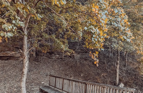 Ponca House | Elk View Cabin in Boxley Valley - 5 min to the Buffalo River!