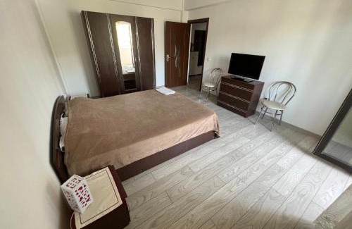 Ciurea Apartment | Ella Doo Apartament - 15 min de Palas