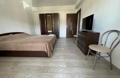 Ciurea Apartment | Ella Doo Apartament - 15 min de Palas