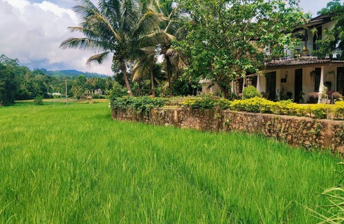 Ella House | Ella Nature Valley Homestay- Family Friendly Lovely Place surround by mountains.