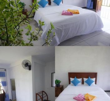 Ella Bed & Breakfast | Ella Tea House Garden